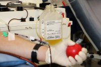 Военнослужещи даряват кръвна плазма за лечение на COVID-19