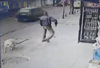 Задържаха мъж, нападнал с нож куче в столицата