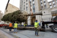 Поставиха елхата пред "Рокфелер център" в Ню Йорк
