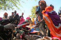 снимка 6 Конфликтът в Етиопия - коментар на посланик Тодор Витев