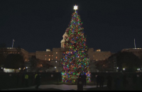 Грейна Коледната елха пред Капитолия