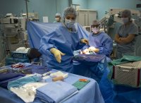 Лекари в Пловдив спасиха от ампутация срязана с ъглошлайф ръка (СНИМКА)