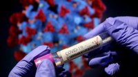 2764 нови случая на коронавирус у нас при направени 6260 PCR теста