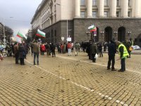 Пореден ден на протести в центъра на София (Снимки)