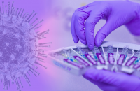 1287 случая на коронавирус при 4407 PCR теста