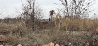 снимка 7 Откриха близо 200 тона предполагаемо опасни отпадъци край Пловдив