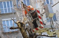 Сигнали за паднали клони и откъртени строителни огради заради силния вятър в София