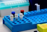 Фирми изискват отрицателен PCR тест при започване на работа