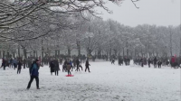 Масов бой със снежни топки в Лийдс, въпреки строгите мерки