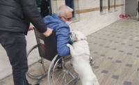 Куче чака стопанина си 6 дни пред болница