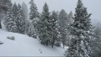 Сняг затрупа Калифорния