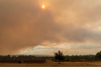 снимка 3 Пожар изпепели над 30 сгради в Австралия