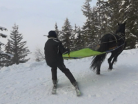 "Презареждане": Алтернативата на Алпите за зимен спорт в пандемията