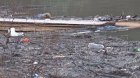 Отпадъци и в коритото на река Струма