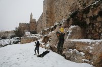 снимка 3 Сняг в Ерусалим (Снимки)