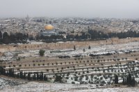 снимка 9 Сняг в Ерусалим (Снимки)