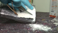 23 тона кокаин задържаха в Германия и Белгия