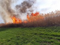 Пожар горя в района на рибарници в Пазарджик