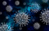 Откриха двойна мутация на коронавируса в Индия