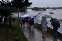 снимка 3 По чудо няма загинали в тежките наводнения в Австралия
