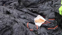 Учени приготвиха скара върху лава в Исландия