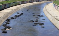 Само дни след почистването: Десетки автомобилни гуми плуват в река Слатинска
