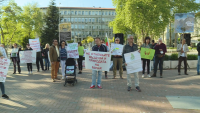 Седми протест във Варна срещу изсичането на гората в Коджа тепе