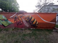 Рисуват 30-метрова стена с графити за Международния ден на пчелите