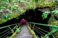 снимка 5 Пещера Стълбица - една от най-красивите и уникални пещери в Деветашкото плато (ГАЛЕРИЯ)