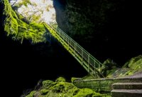снимка 2 Пещера Стълбица - една от най-красивите и уникални пещери в Деветашкото плато (ГАЛЕРИЯ)