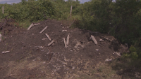 Животни са загробени незаконно край село Марково