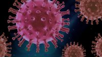 Неочакван извод: Преболедувалите COVID-19 имат имунитет за десетилетия