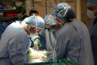 Предлагат създаване на експертни съвети за трансплантациите