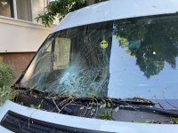 снимка 5 Десетки паднали дървета и сериозни щети по колите след бурята в Пловдив (Снимки)