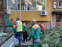 снимка 7 Десетки паднали дървета и сериозни щети по колите след бурята в Пловдив (Снимки)