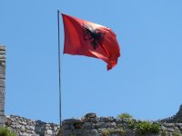 Арестувани са 9 полицейски началници в Албания