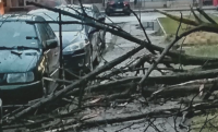 Пороен дъжд и силен вятър блокираха пътища във Врачанско снощи