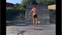 Урок по техника с топка от Димитър Бербатов (Видео)