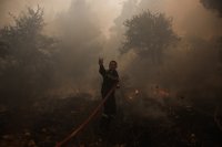 снимка 1 Разследват умишлен палеж на горски пожар край Атина