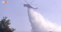 Разследват умишлен палеж на горския пожар край Атина