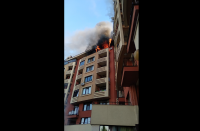 Пожар горя в столичния квартал "Дружба 2" (Видео, снимки)