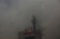 снимка 3 Разследват умишлен палеж на горски пожар край Атина