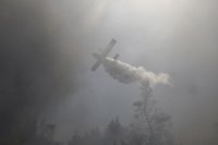 снимка 2 Разследват умишлен палеж на горски пожар край Атина