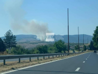 Два пожара - единият близо до АМ "Струма", горят край Благоевград (Снимки)