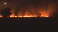 Овладян е големият пожар, който гори цяла нощ в Харманлийско