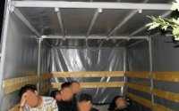 25 нелегални имигранти с двама каналджии са задържани на българо-турската граница