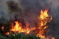 Република Северна Македония обяви 30-дневно кризисно положение заради пожарите