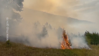 Горски пожари бушуват и в Западна Сърбия