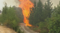 Пожарите в Анталия са под контрол, гасенето продължава