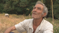 Свидетел на трагедията в пожара край Петрово: Те бягаха, но огънят буквално ги прегърна